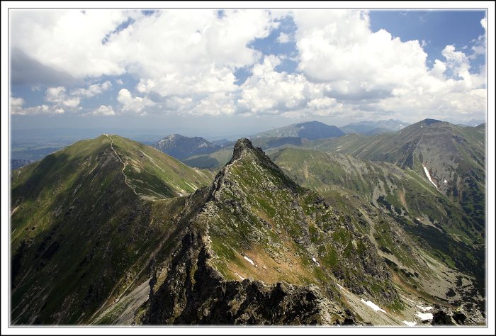 Roháče