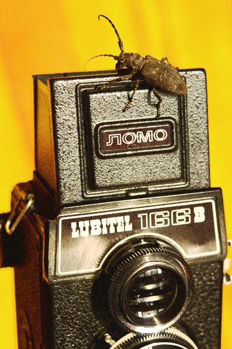 Retro-Bug