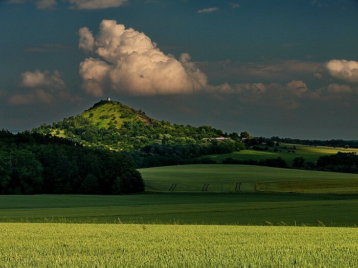 Slunce čaruje.