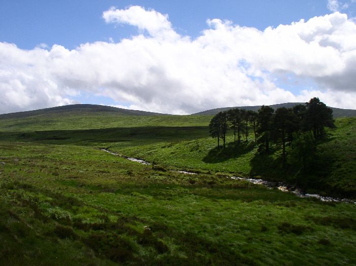 Wicklow