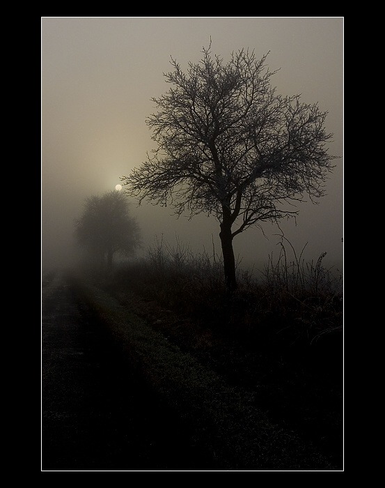 ..vzpomínka na zimu..