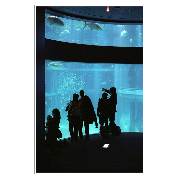 Osaka Aquarium
