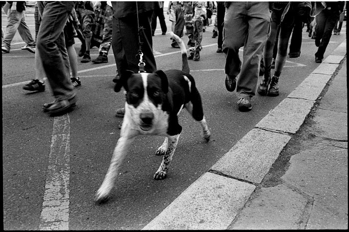 Demonstrace, Praha 4.6.2007