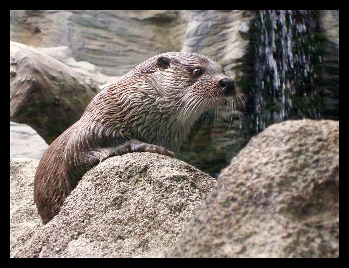 Někoho tam v dáli vidím...