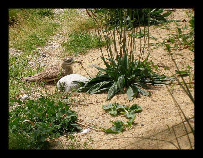 Sedím a vyčkávám....