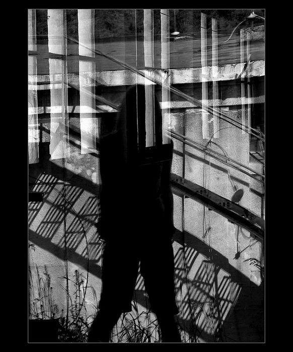 Reflexe neoblomných