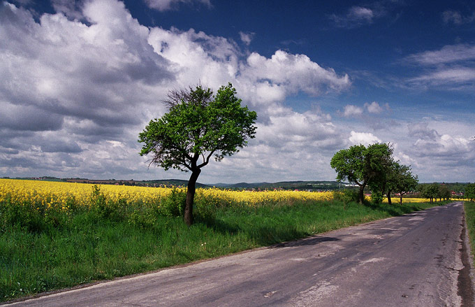 krajina