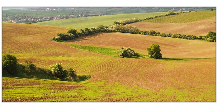 Za Bzencem II.