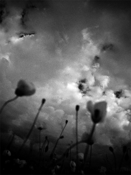 smútkom spité maky