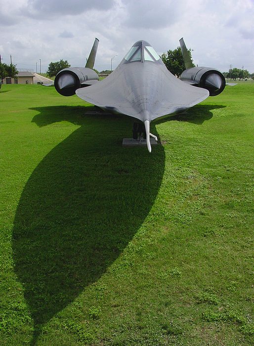 "Blackbird"