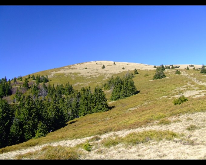 Martinské hole, cestou na Vidlicu