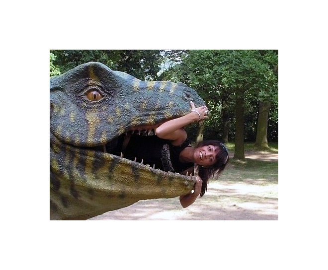 čau ne