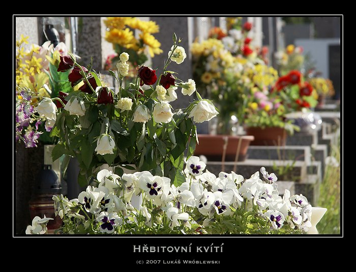 Hřbitovní kvítí