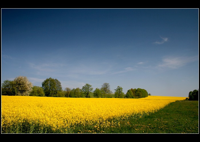 Přistávací plocha