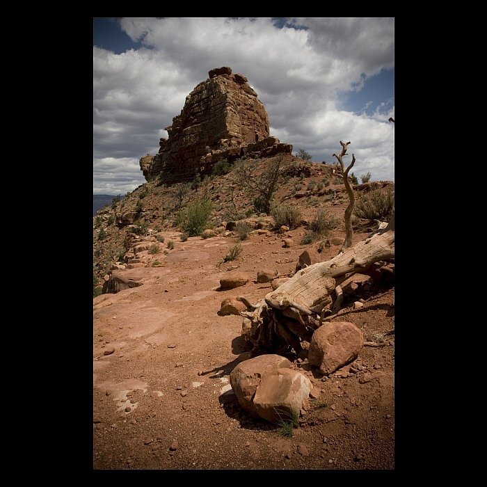 Grand Canyon #03