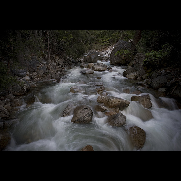 Yosemite NP #04