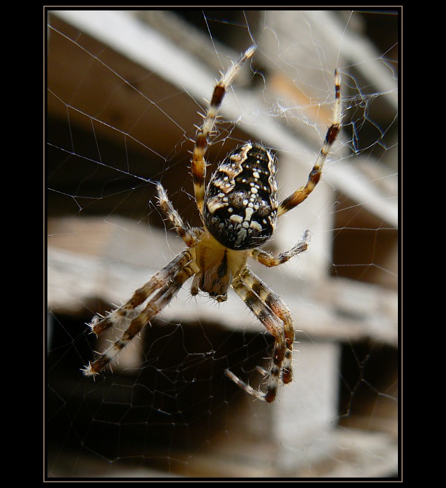 Prázdné palety se musí ukládat do stohů tak, aby se zabránilo jejich zřícení.