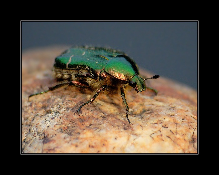 5 vteřin a pak uletěl