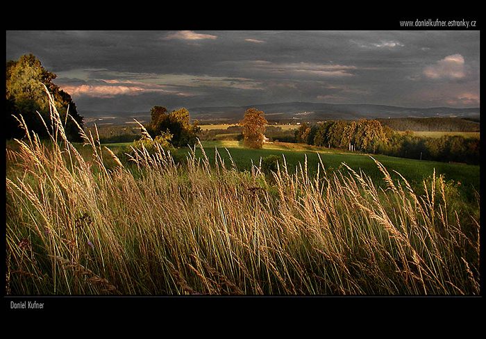 THE WORLD OF PHOTOGRAPHIC