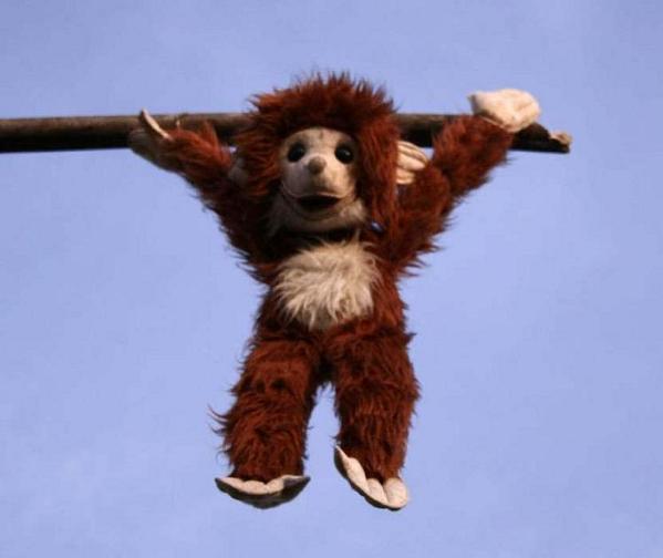 Uz mi sibe zo skusok a ta focim chujiny I.