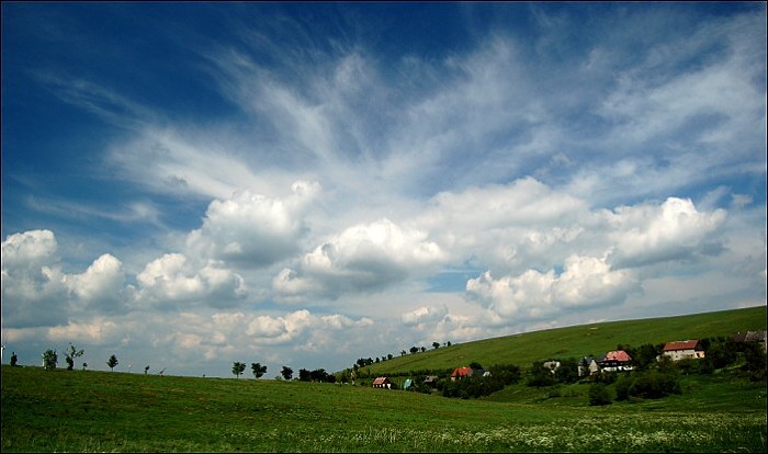 Háj v Krušných horách