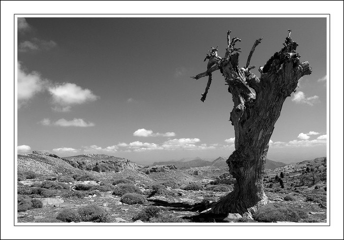 Sierra de las Nieves