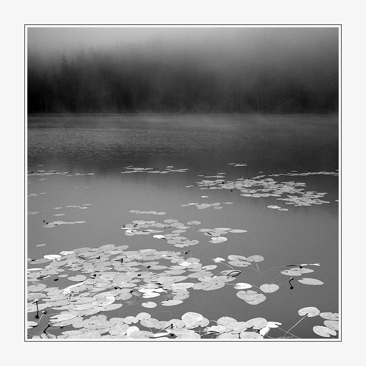 Sumava