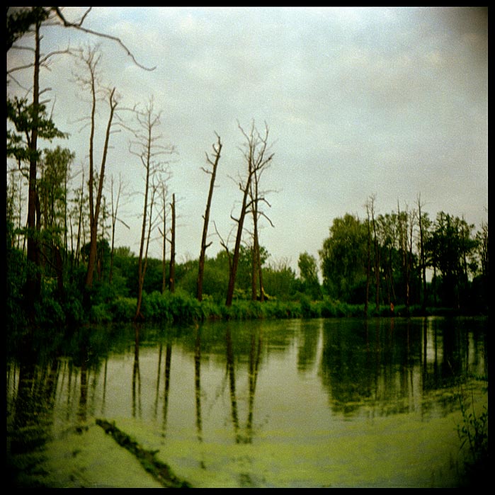 ... když jsem šel krajinou II. ...