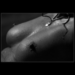 *takhle si maluju leto II.*