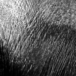 Killarney National Park, Ireland