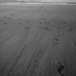 plaz Inch 2, Ireland