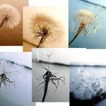 deti letia do sveta...