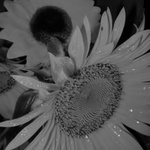 ..nie je nad originál...