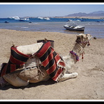 Odpočinek po jízdě