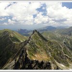 Roháče
