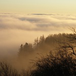 Ranní mlha