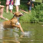 Ktera hrdě vstoupit do stejné řeky 1