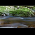 ...Koupel Kamenného Pána...