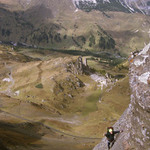 Nicota