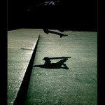 Skateboarding  |  be free