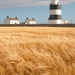 Hook Head, Ireland (29.7.2006)