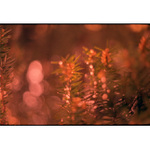 Důvěrné rozhovory