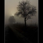 ..vzpomínka na zimu..