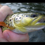 ....ještě pusu....