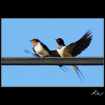 Už letím, drahááá...ách