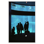 Osaka Aquarium