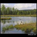 Chalupská slať II.