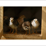 Na prahu života ...