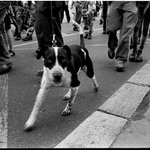 Demonstrace, Praha 4.6.2007