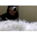 Požiadali sme ju a odišla